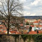 Über den Dächern von Tübingen 1