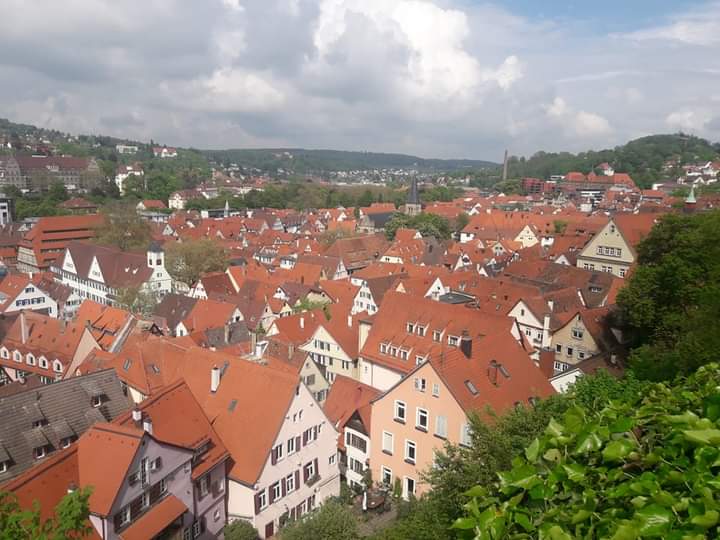 Über den Dächern von Tübingen