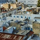 Über den Dächern von Tunis