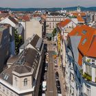 Über den Dächern von Wien (4)