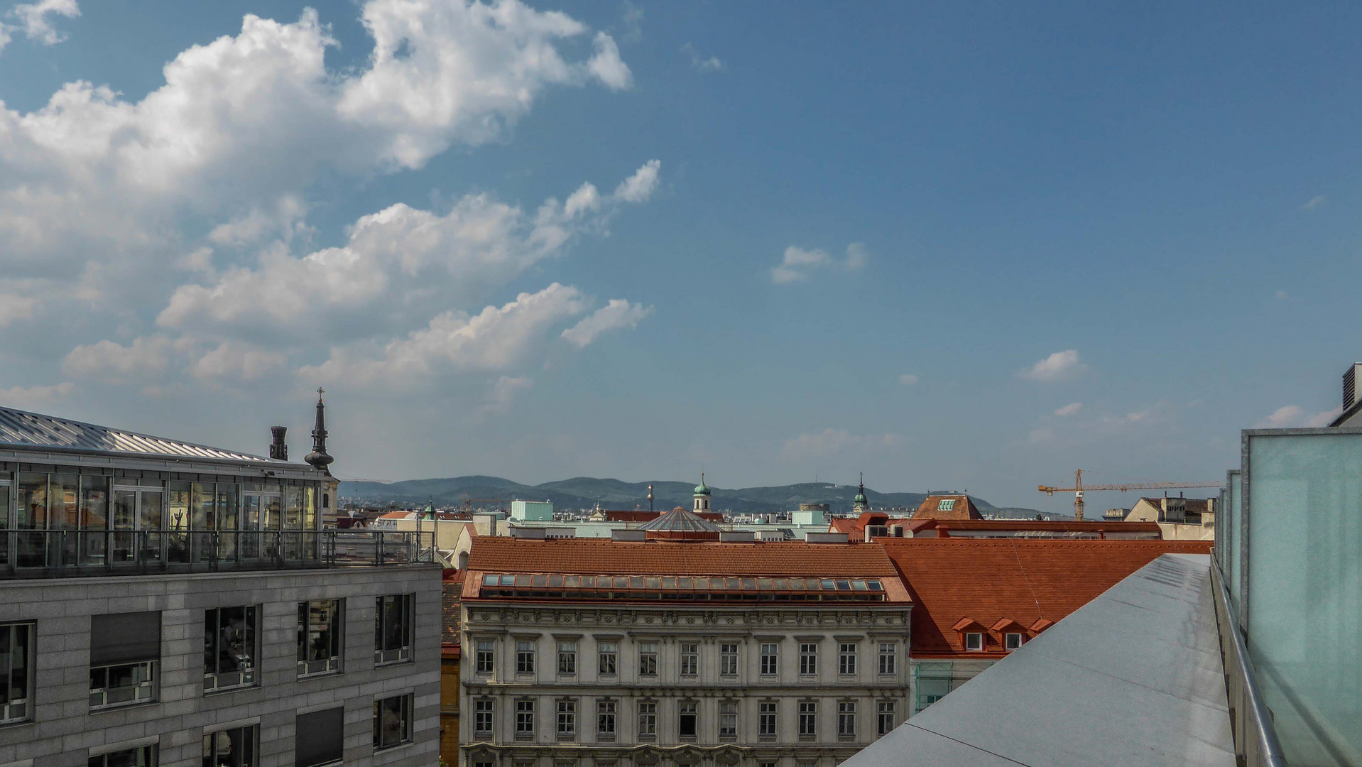 Über den Dächern von Wien (6)