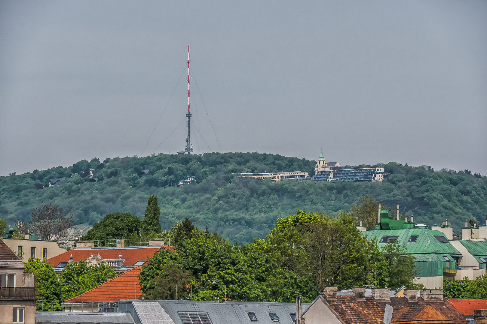 Über den Dächern von Wien (7)