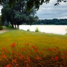 über den Eingriff in die Natur zugunsten des schönen Scheins