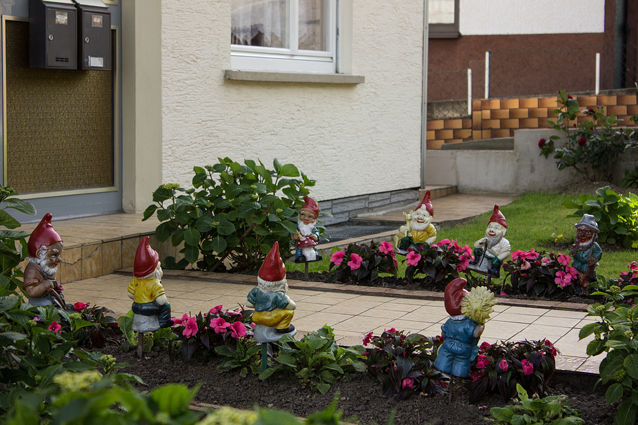 über den Gartenzaun geschaut 4