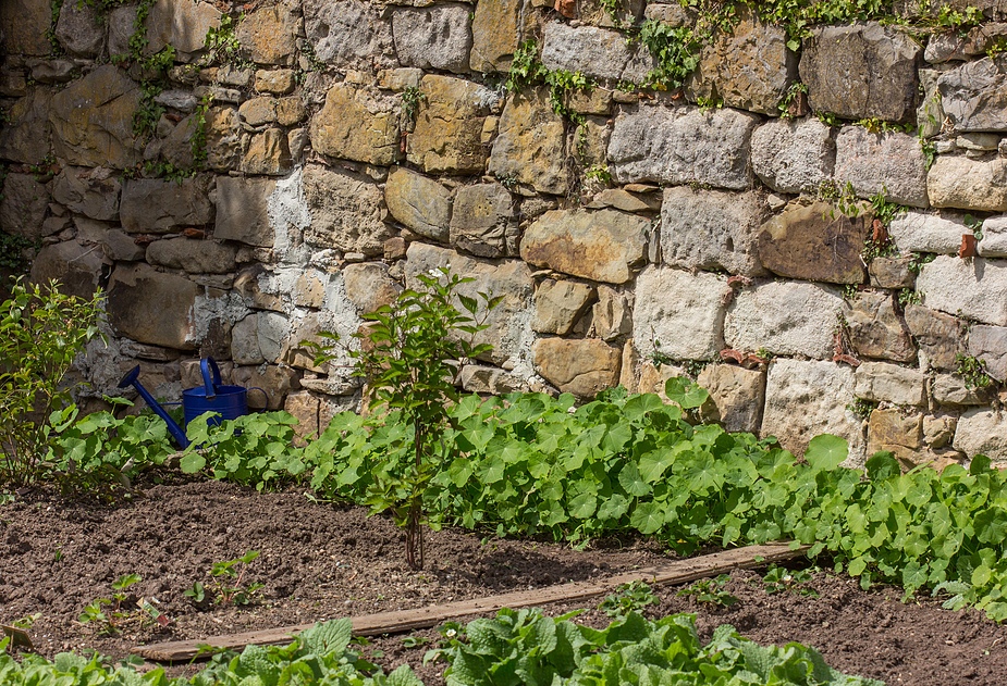 über den Gartenzaun geschaut