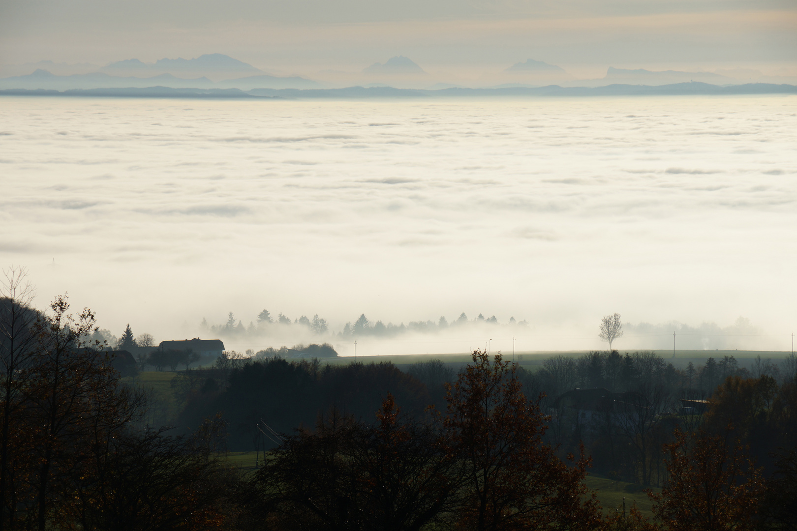 Über den Nebel ins Gebirge