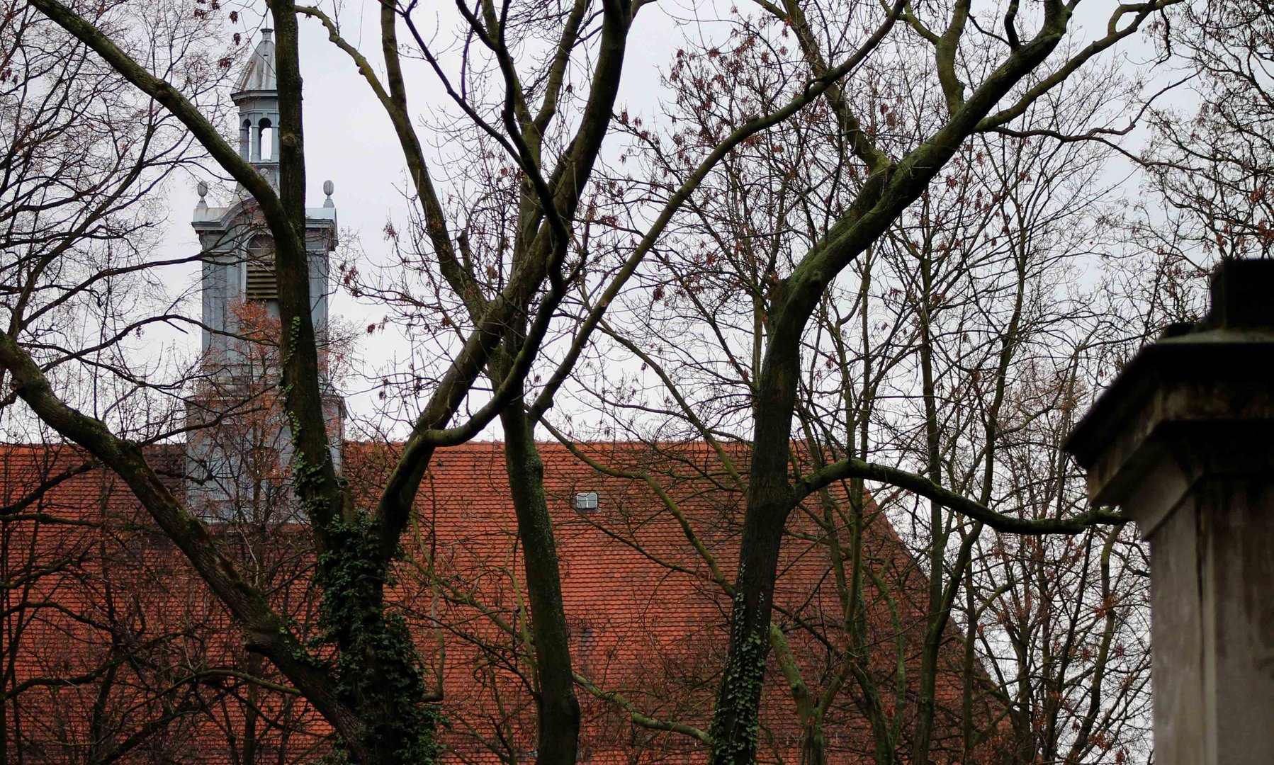 Über den Nikolaifriedhof geschaut