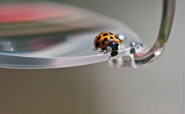 über den Rand geschaut