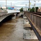 ... über den Rhein ...