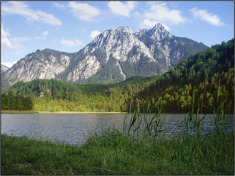 Über den Schwansee geschaut....