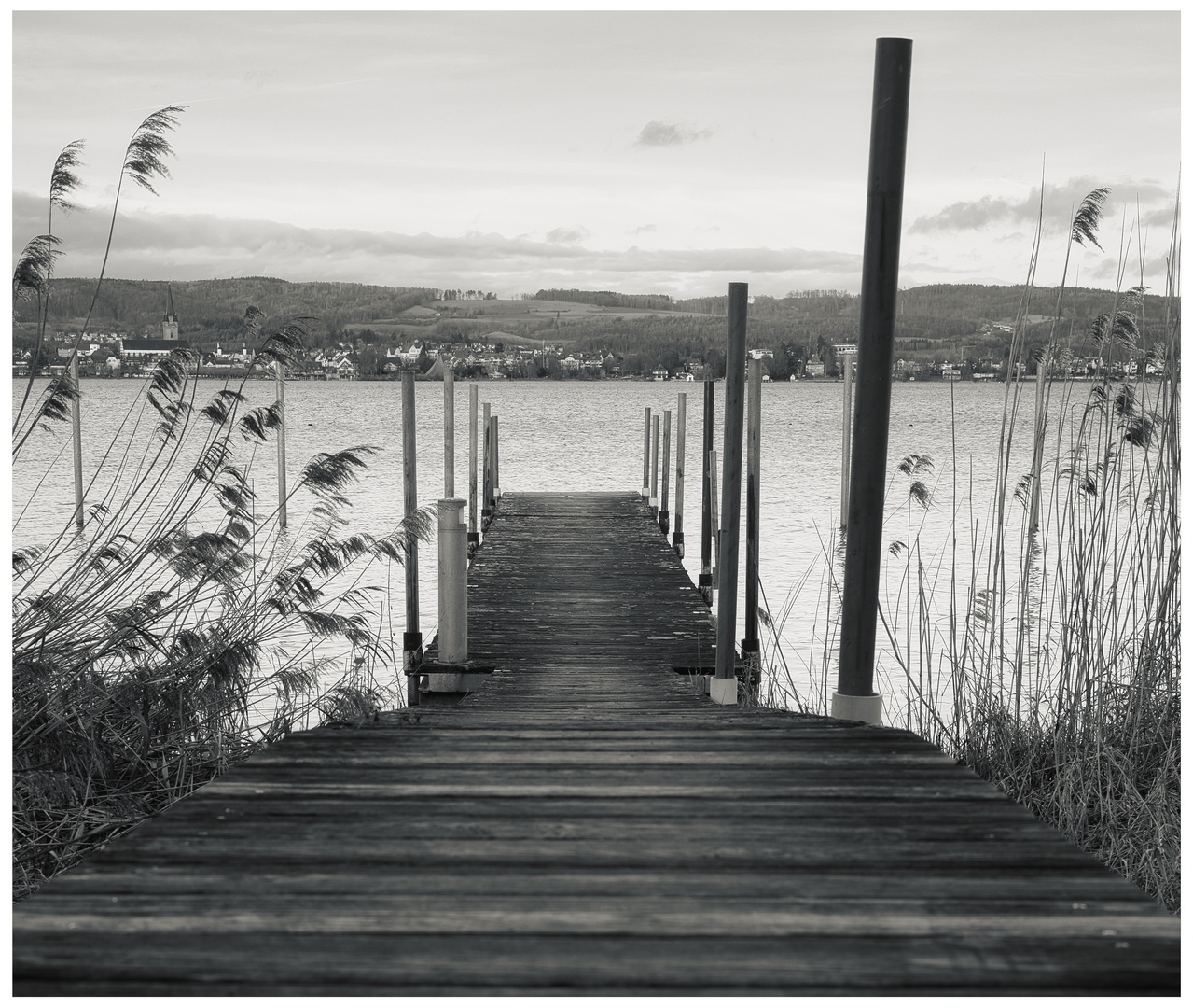 Über den See nach Radolfzell 