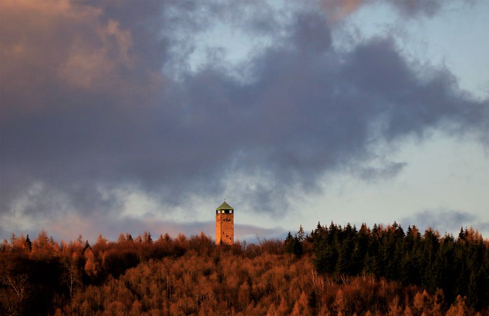 Über den Strutberg...Sollingturm im Abendlicht
