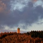 Über den Strutberg...Sollingturm im Abendlicht