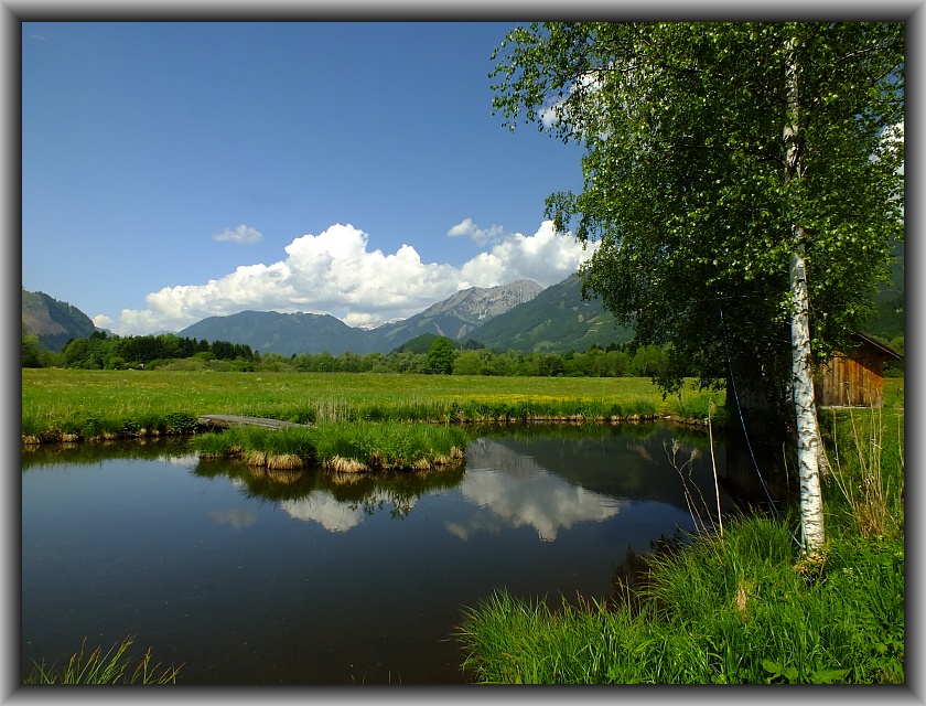 über den Teich Foto & Bild landschaft, lebensräume, neue heimat
