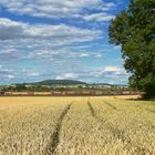 Über den Trommetsheimer Berg