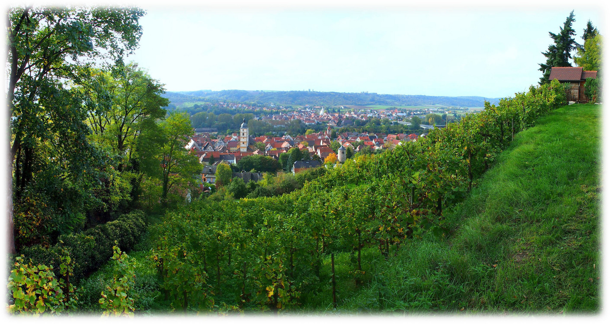 Über den Weinbergen von Sommerhausen