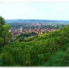 Über den Weinbergen von Sommerhausen