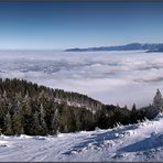 ~ Über den weißen Wolken auf weißem Grund I ~