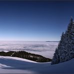 ~ Über den weißen Wolken auf weißem Grund III ~