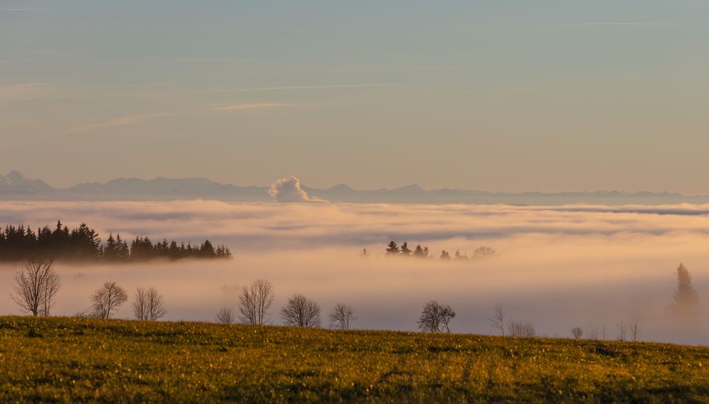 Über den Wolken