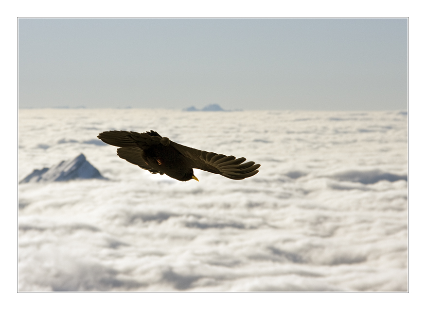 Über den Wolken...