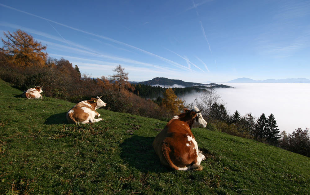 über den Wolken 07