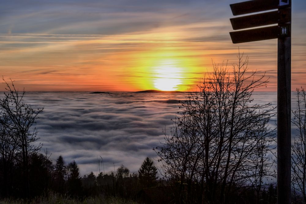 Über den Wolken