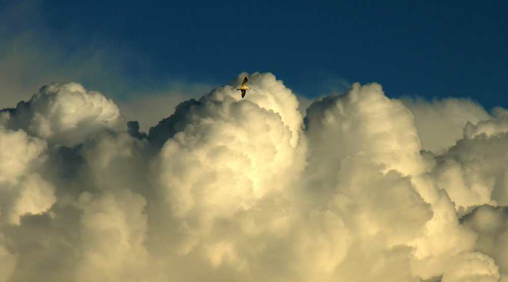 ... über den Wolken . . .