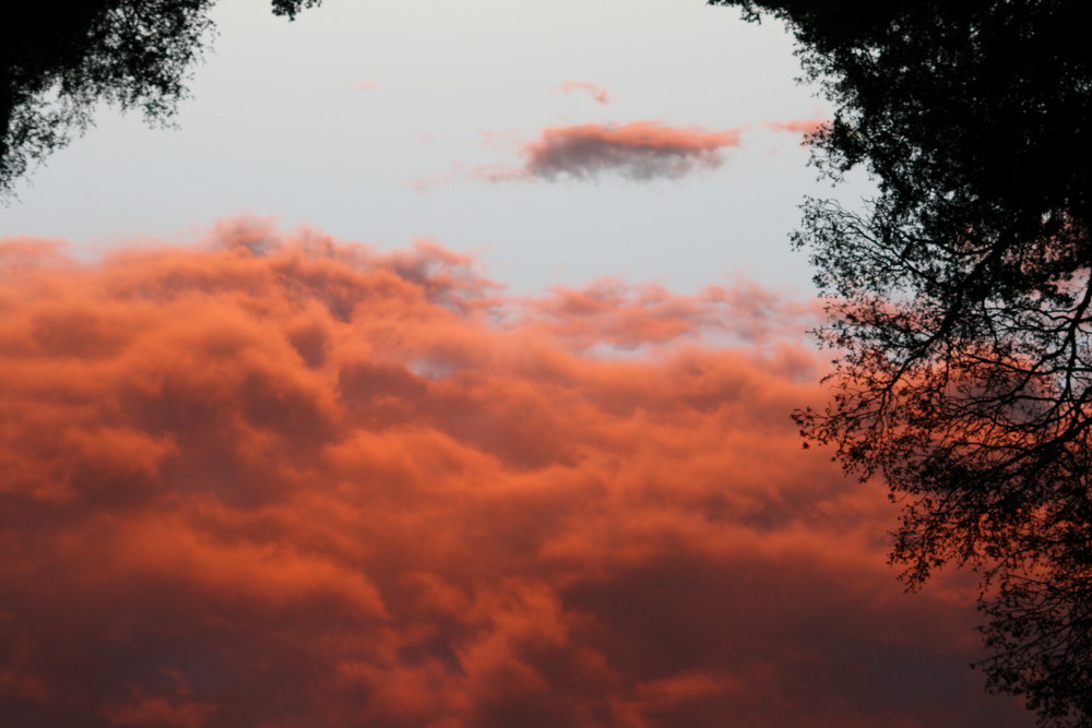 Über den Wolken