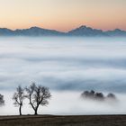 über den wolken ..