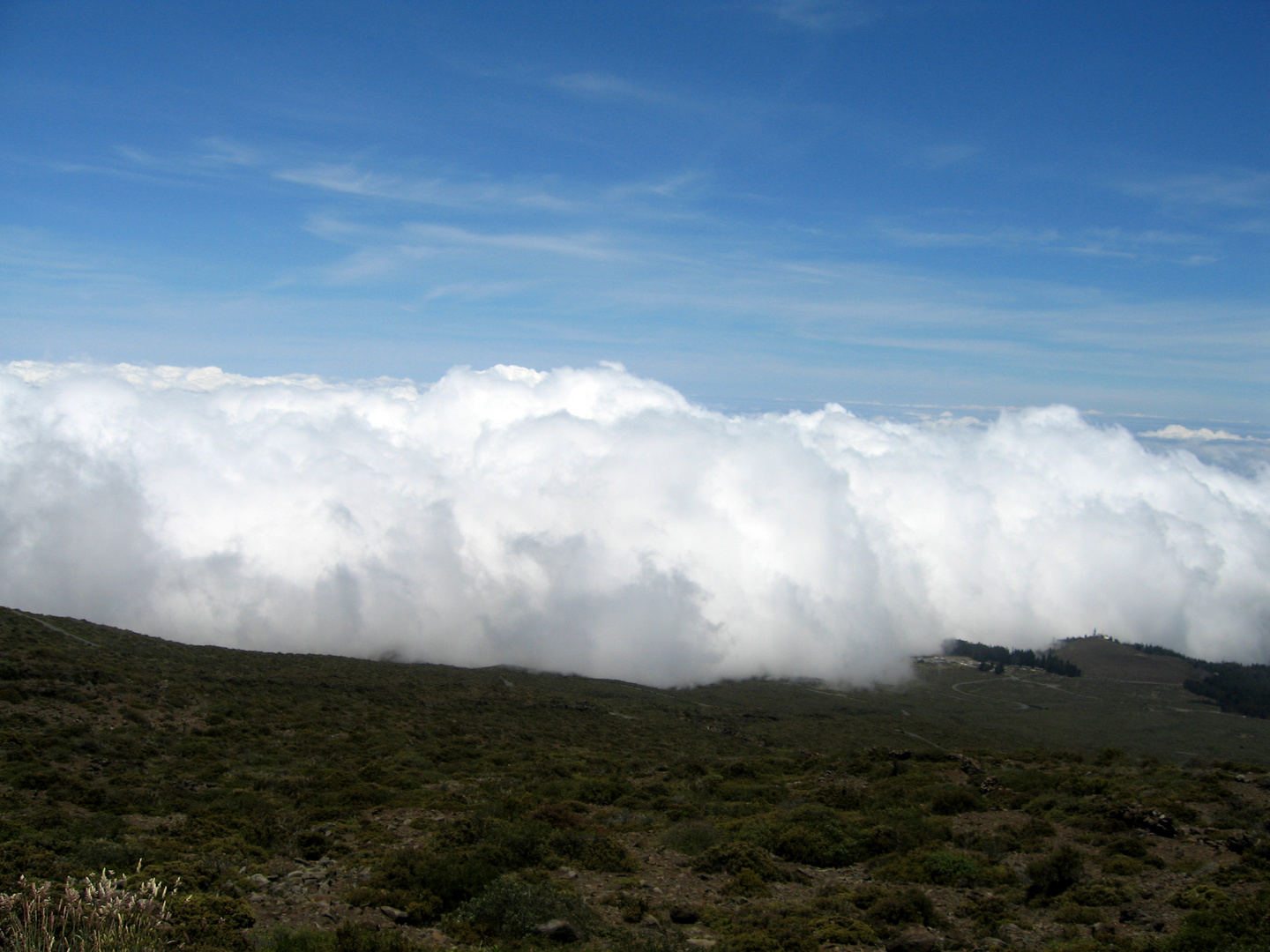 über den Wolken