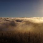 Über den Wolken