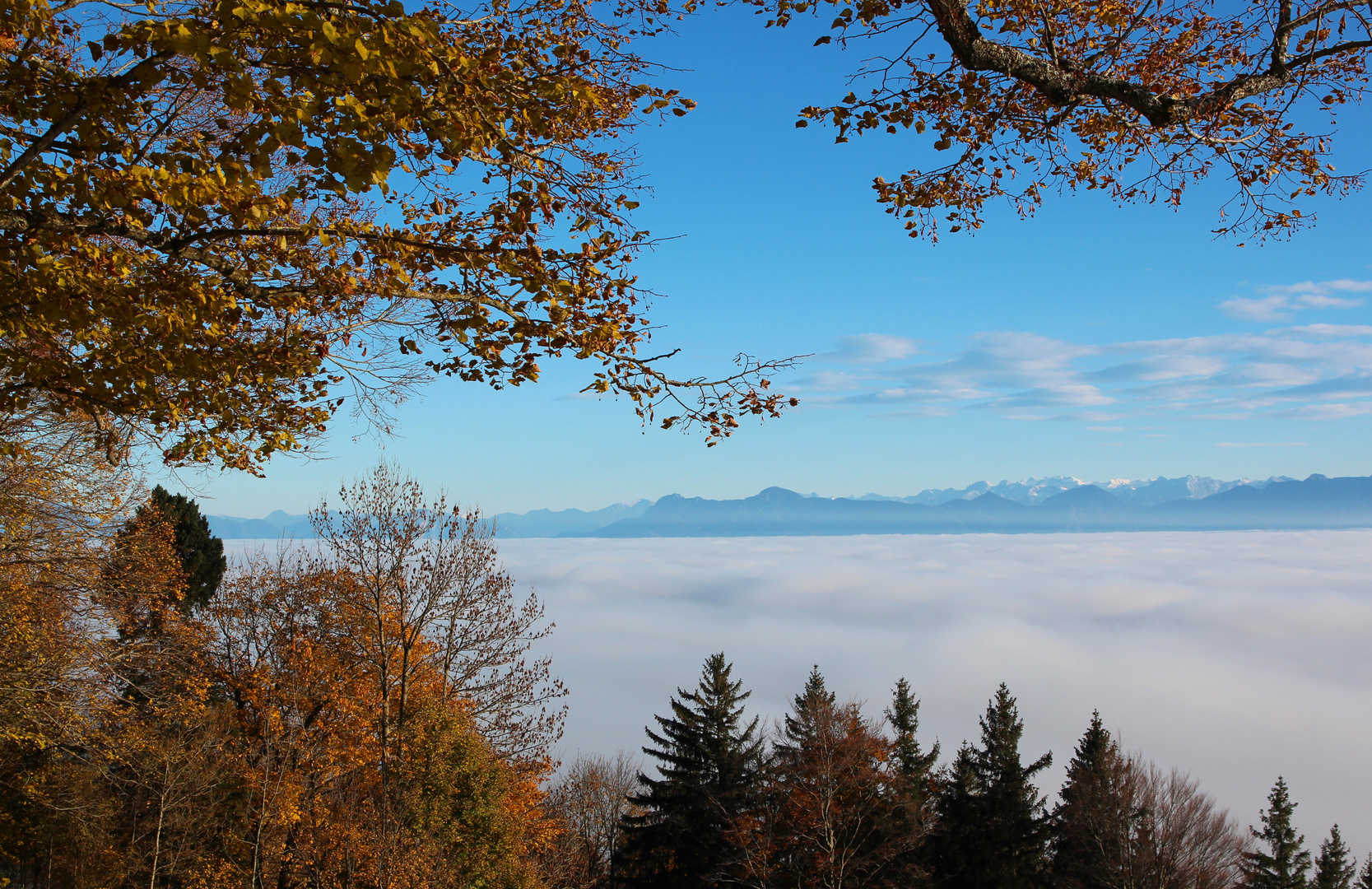 Über den Wolken