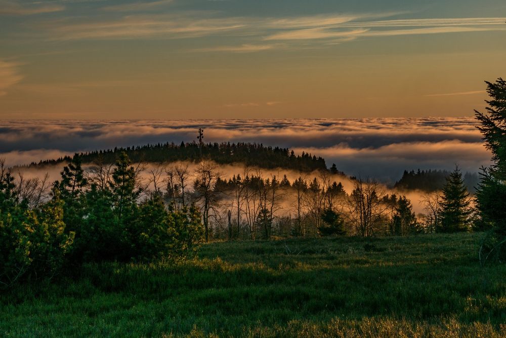 Über den Wolken