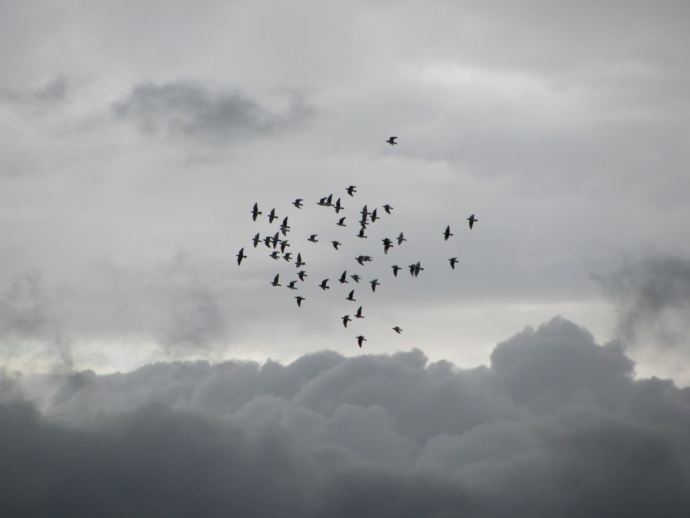 Über den Wolken