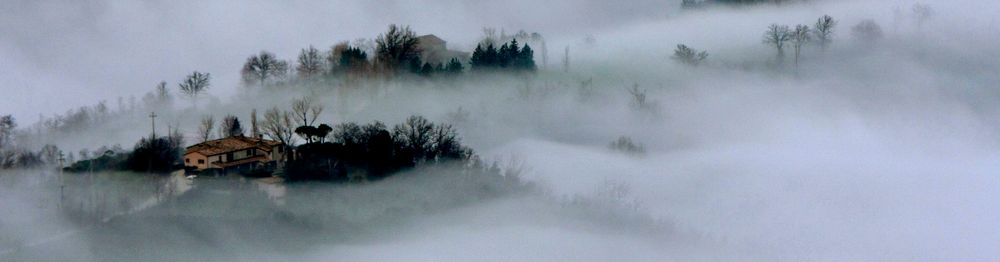 über den Wolken von Steffi Herrmann 