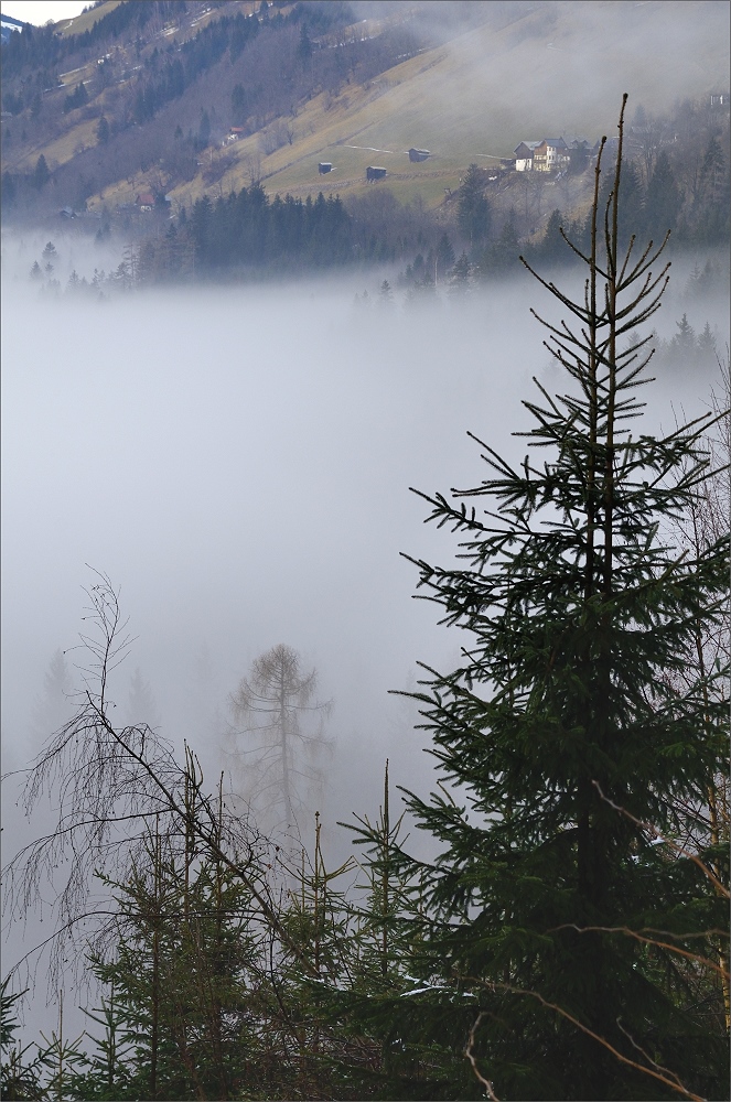 über den wolken