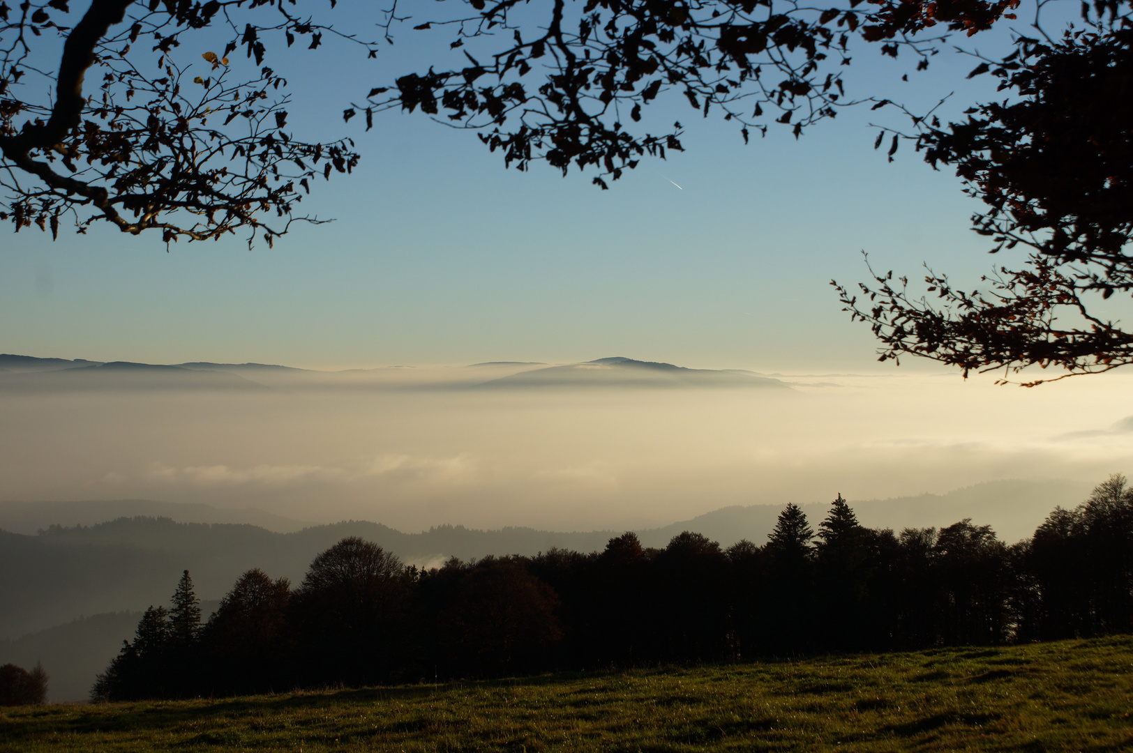 Über den Wolken