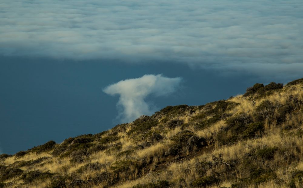 Über den Wolken