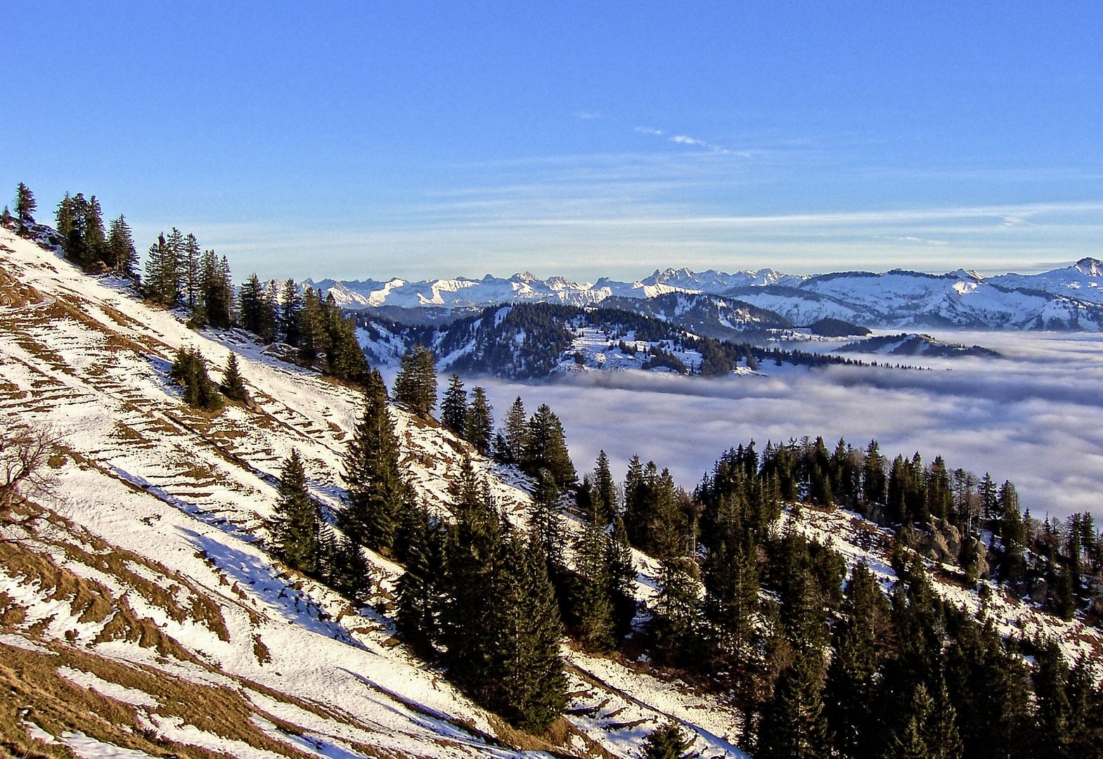 Über den Wolken