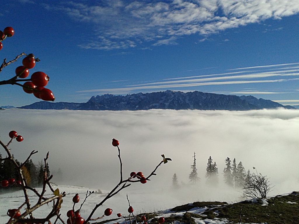 Über den Wolken