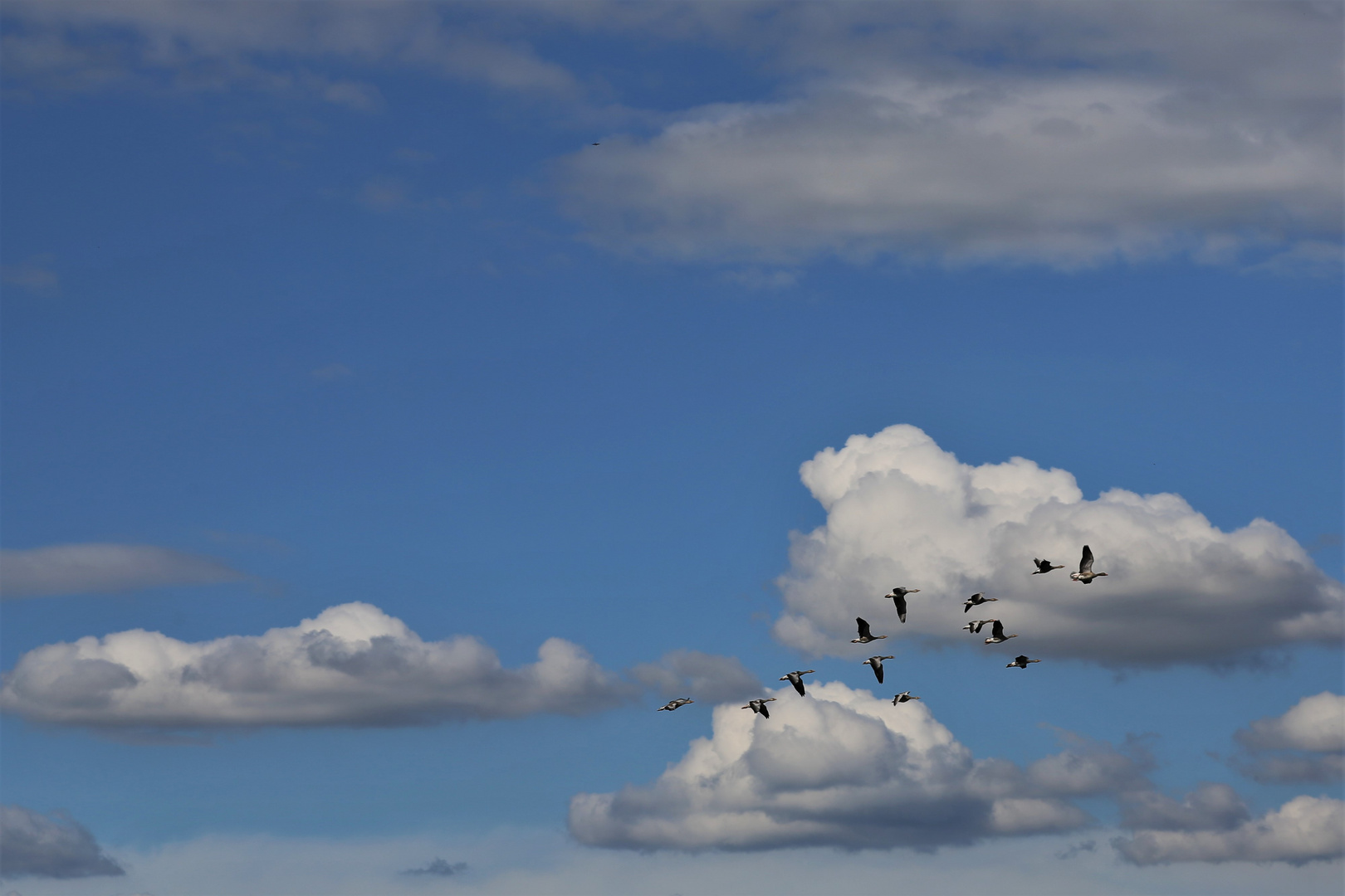 über den Wolken