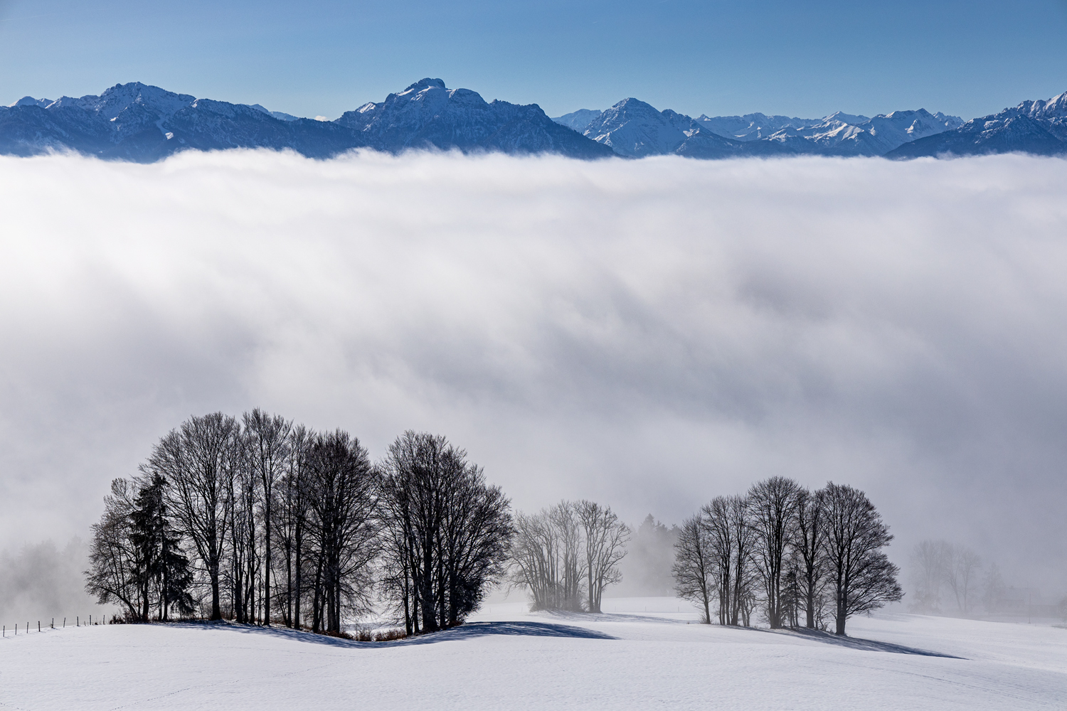 über den wolken