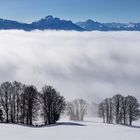 über den wolken