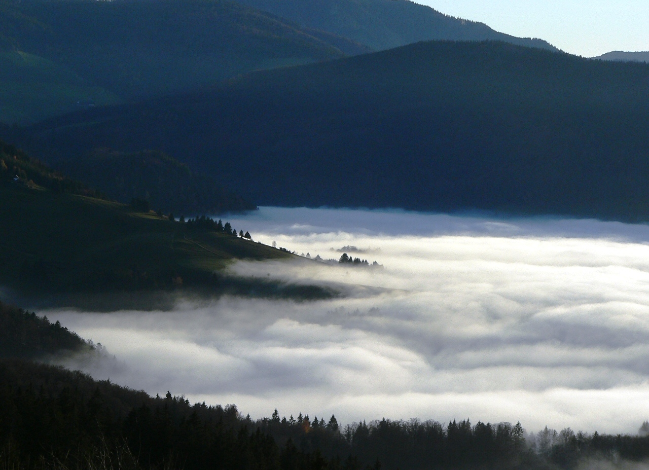 über den Wolken - auf dem Schauinsland