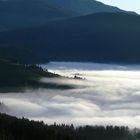 über den Wolken - auf dem Schauinsland