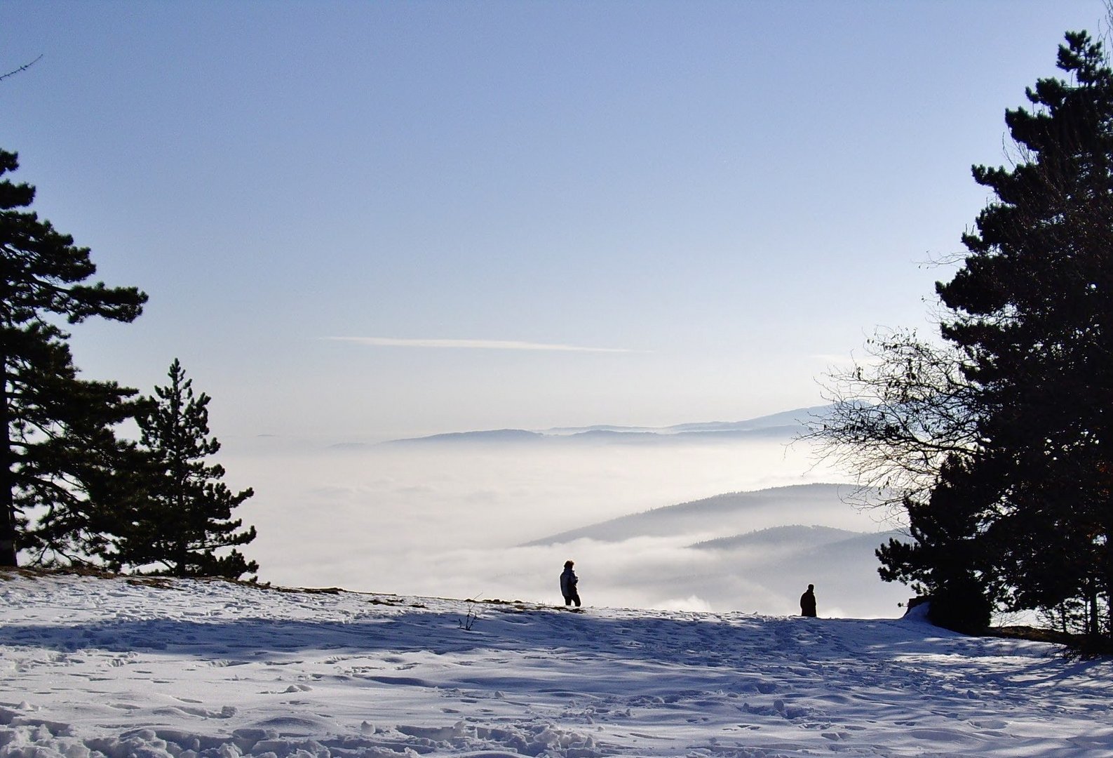 Über den Wolken