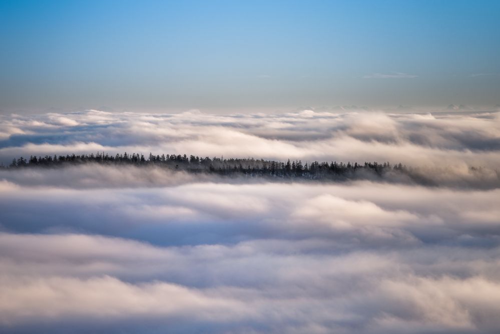 Über den Wolken