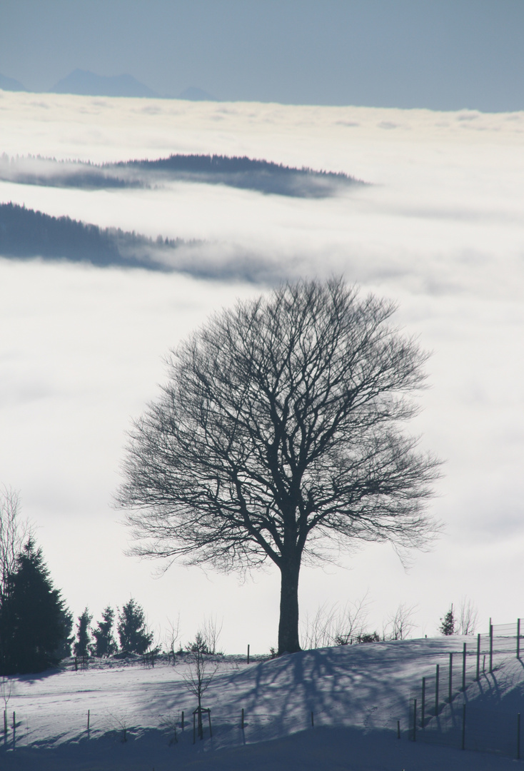 Über den Wolken