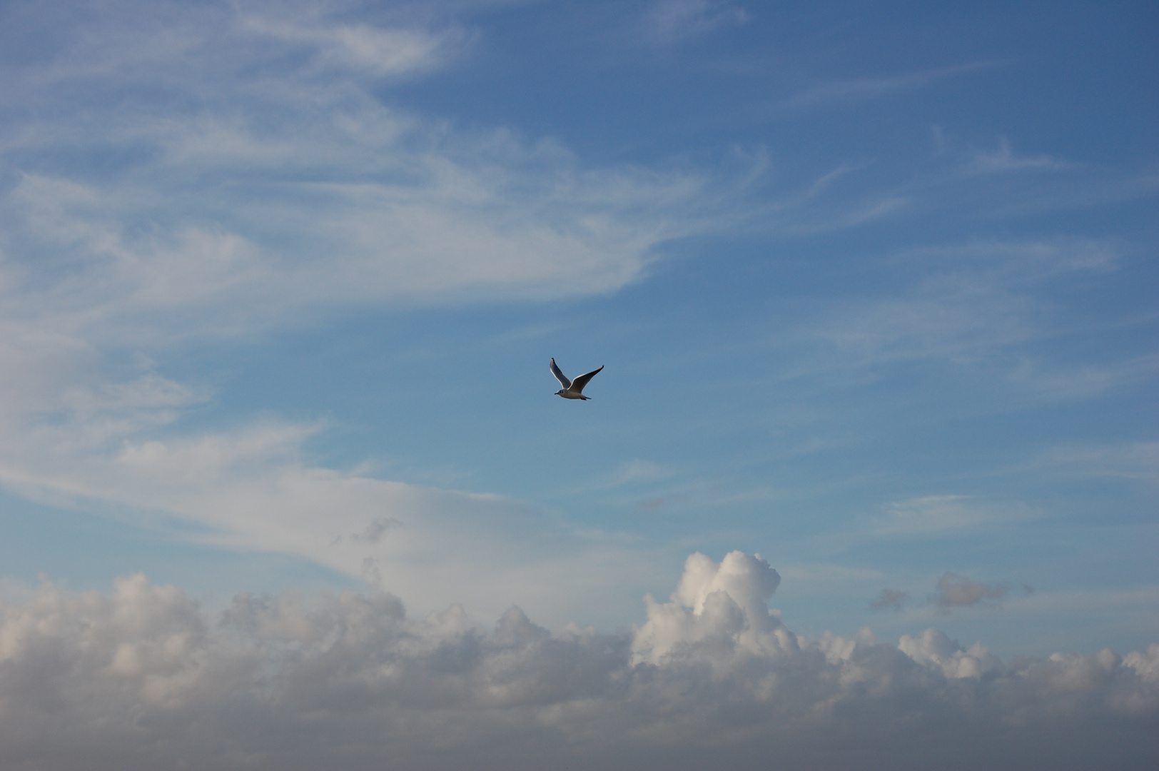 ... über den Wolken